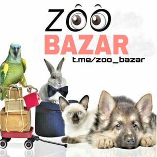 Логотип @zoo_bazar - ZOO БАЗАР ©