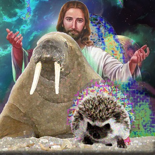 Логотип @zoo_logic - Эволюция моржа в ежа