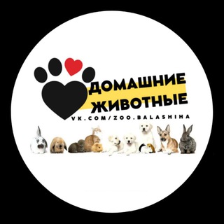 Логотип @zoo_moscow - Домашние животные Москва. Кошки, собаки, птицы
