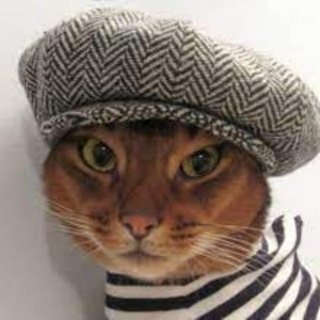 Логотип @zoo_ua_cats_bar - Котяча барахолка