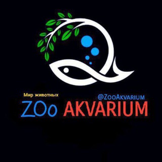 Логотип @zooakvarium - ZOO AKVARIUM 🐳