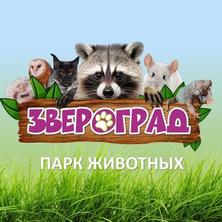 Логотип @zooartttttttt - ЗВЕРОГРАД 🦝 /_zverograd_kmv