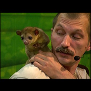 Логотип @zoocomclub - Zoocom Club