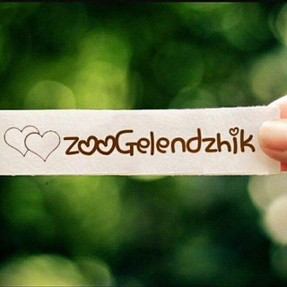 Логотип @zoogel - • ЗООГЕЛЕНДЖИК • Приют • Геленджик • Волонтеры