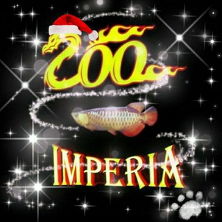 Логотип @zooimperiachat - ZOO Imperia Chat