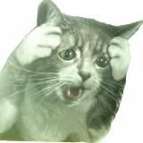 Логотип @zookek - Всратая живность