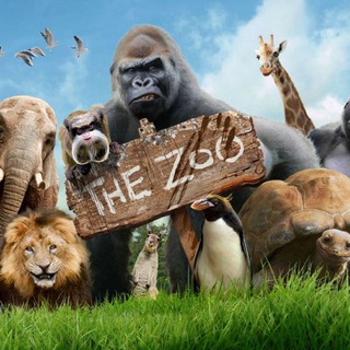 Логотип @zoolave - Zoo