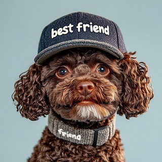 Логотип @zoomagazindlyajivotnixpetshop - ЗооАптека🐶