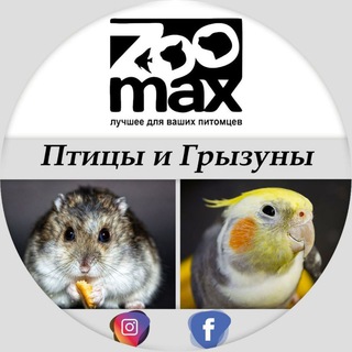 Логотип @zoomax_birds_rodents - ZooMax - Птицы и Грызуны