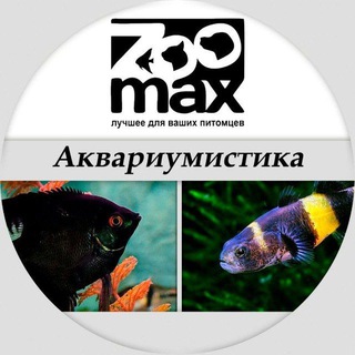 Логотип @zoomaxakva - ZooMax - Аквариумистика