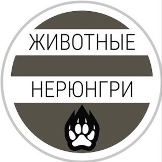 Логотип @zooneryungri - Zooneryungri