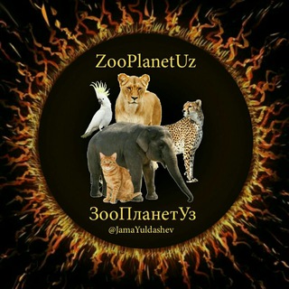 Логотип @zooplanetuz - 🌐ЗооПЛАнет🌐
