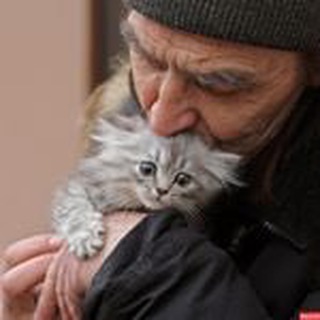 Логотип @zooprotector - Zooprotector - Защита животных