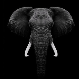 Логотип @zoosworld - ZOOS | зоопарки, заповедники, национальные парки