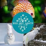 Логотип @zoovetkormuz - ЗООМАГАЗИН