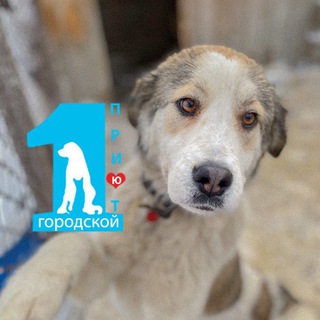 Логотип @zoozashita_nsk - Первый городской приют г. Новосибирск т. 214-92-91