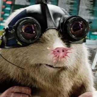 Логотип @zorkiikrot - Zоркий Крот