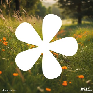 Логотип @zozh_rzd - ЗОЖ РЖД🍀