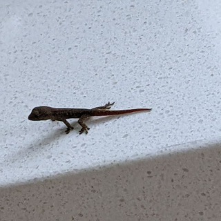 Логотип @zrocortalk - Nothing Here