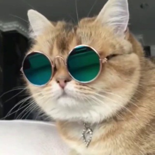 Логотип @ztbkzt - Аваға🕊Картинкалар 𝓐𝓥𝓐𝓖𝓐