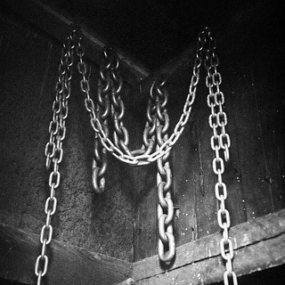 Логотип @zubki_krysi - анноун
