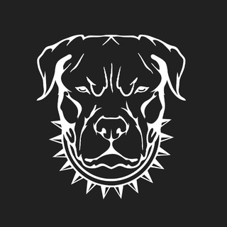 Логотип @zuevdrop - Zuev.Store - Дроп