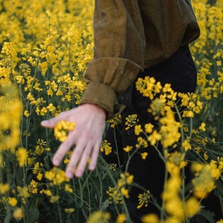 Логотип @zulibrand - Далеко в горах