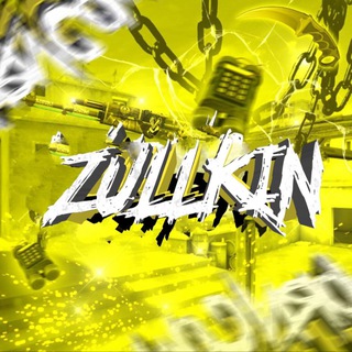 Логотип @zullkin - Zullkin