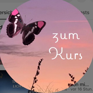 Логотип @zumkurs - Zumkurs.de