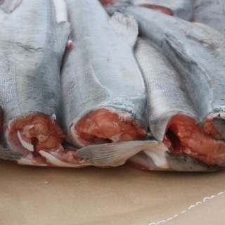 Логотип @zuqvt2mao3njri - Рыба и икра крупным, и мелким оптом в Москве.