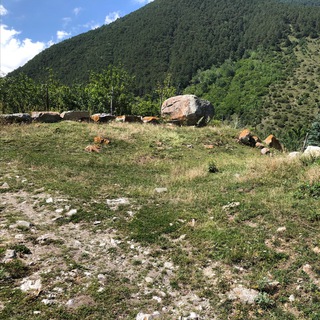 Логотип @zurati_nixas - ZS nixas