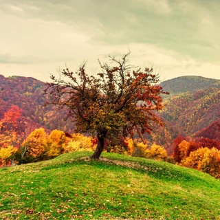 Логотип @zurueckzuuns - 𝖟𝖚𝖗Ü𝖈𝖐 𝖟𝖚 𝖚𝖓𝖘