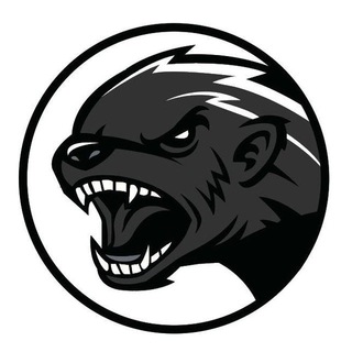 Логотип @zver_app_chat - Корпорация Zver