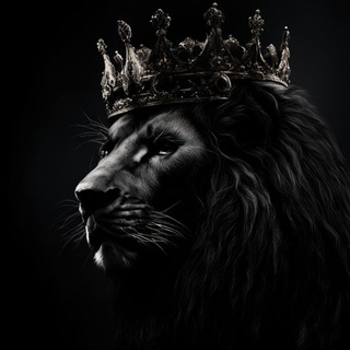 Логотип @zverimir - Говорим о животных