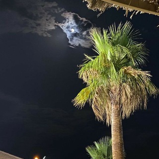 Логотип @zverskiyemuzz - ᴢ ᴠ ᴇ ʀ s ᴋ ɪ ᴇ 🍇