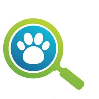Логотип @zveryuga - ЗверЮга - поиск животных Краснодар потеряшки
