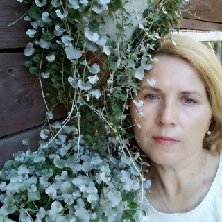 Логотип @zvetochnica - Домик цветочницы