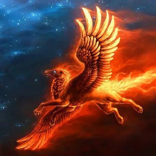 Логотип @zvezdniykanal - Звёздный Канал