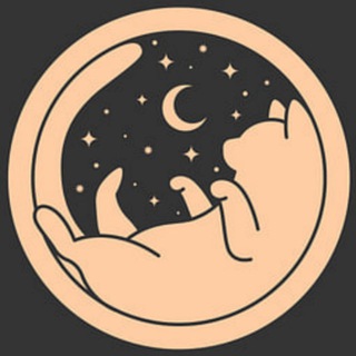 Логотип @zvezdokot - 🐈‍⬛ Кот-Звездочёт | Гороскоп