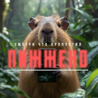 Логотип @zzametkinapolyax - СВОИ В ЛЕНТЕ