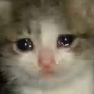 Логотип @zzccnni - Зцн